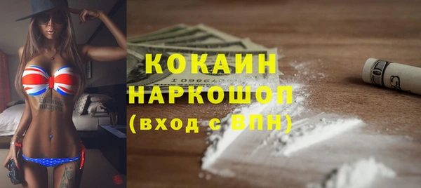 винт Горняк