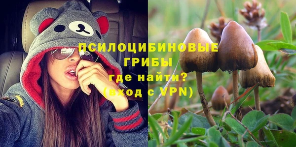 винт Горняк