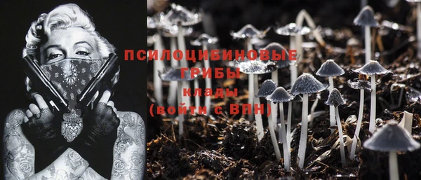 ешки Вязники