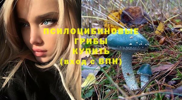 винт Горняк