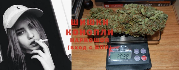 винт Горняк