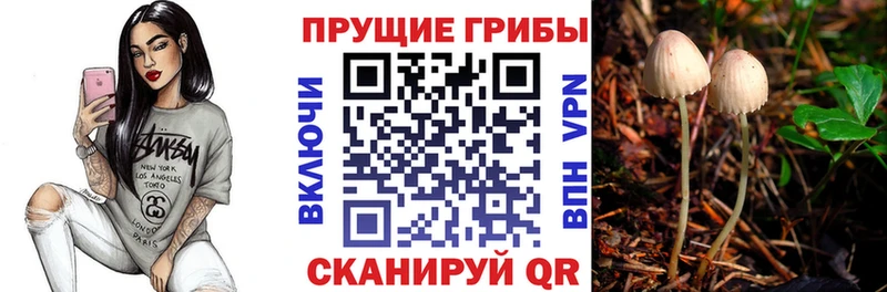 Галлюциногенные грибы мицелий  MEGA tor  Чита 